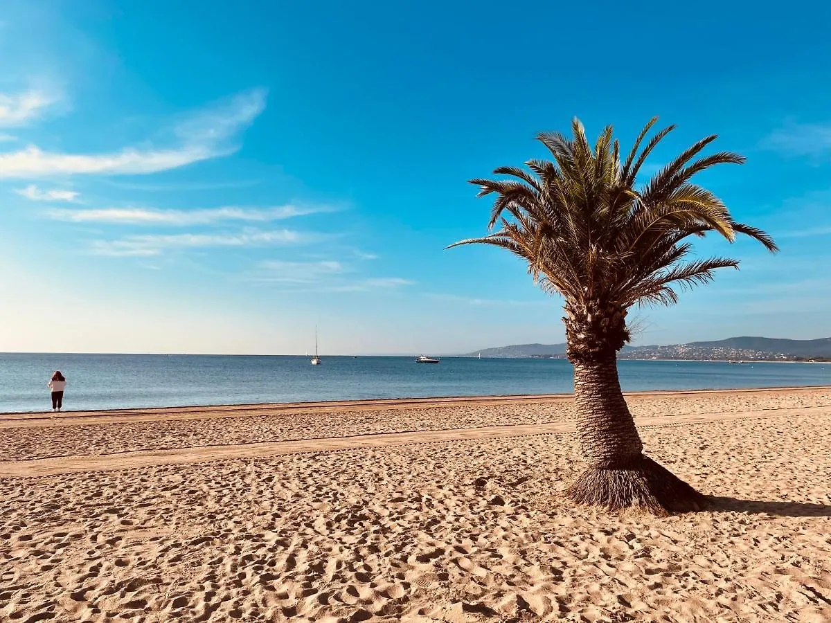 Studio De Standing Climatise, Avec Piscine, Proche De La Mer Fréjus